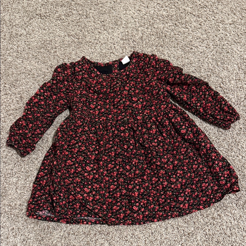 GAP Black and Red Floral Kids Dress size 3T